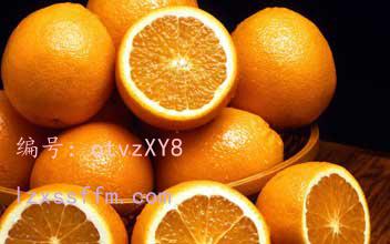 ҵ